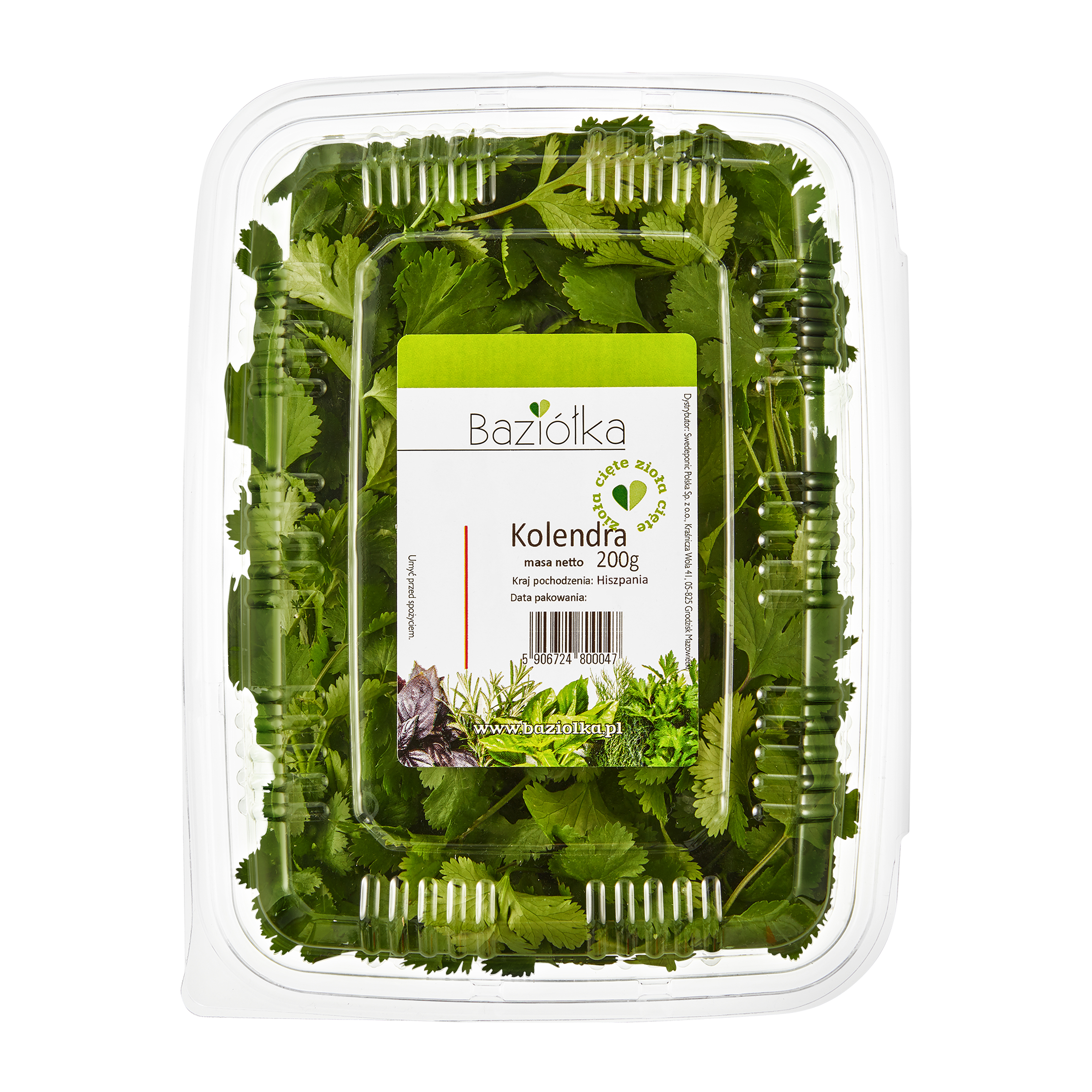 Kolendra Cięta Hiszpania 200G Baziółka