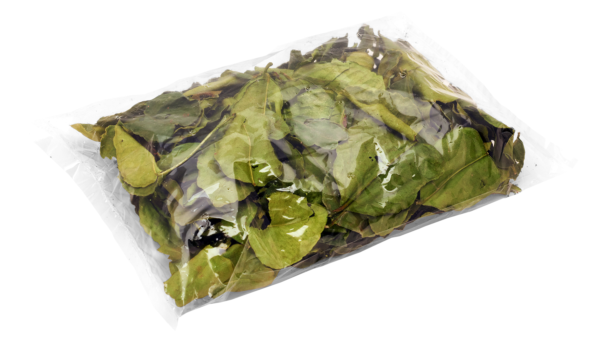 Suszone Liście Kaffiru Tajlandia 50G