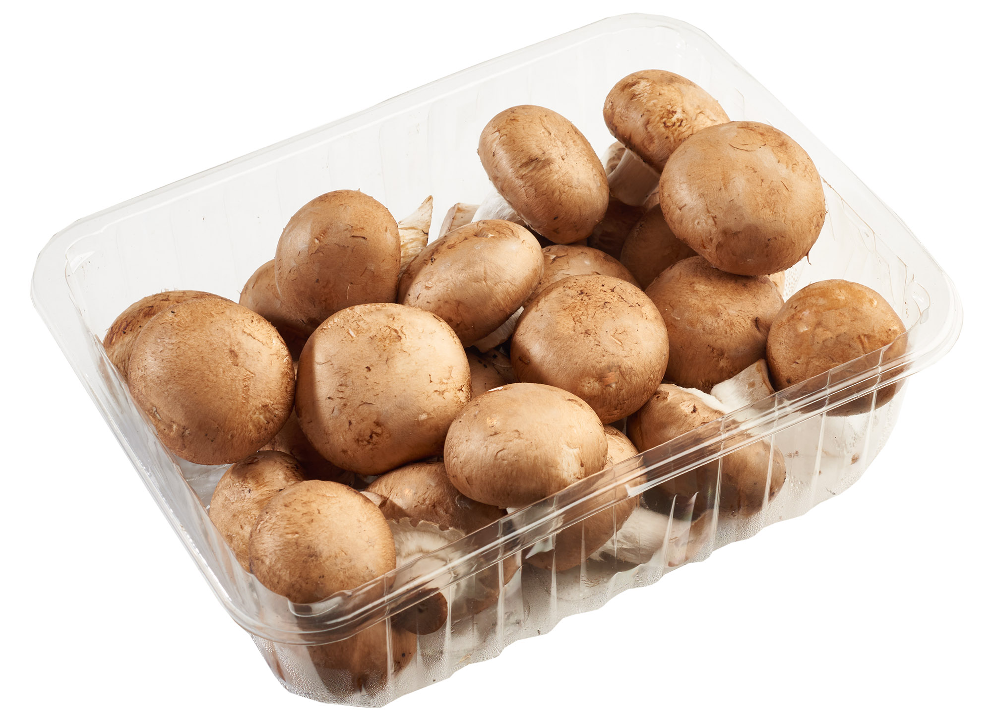 Pieczarka Brunatna Polska 250G
