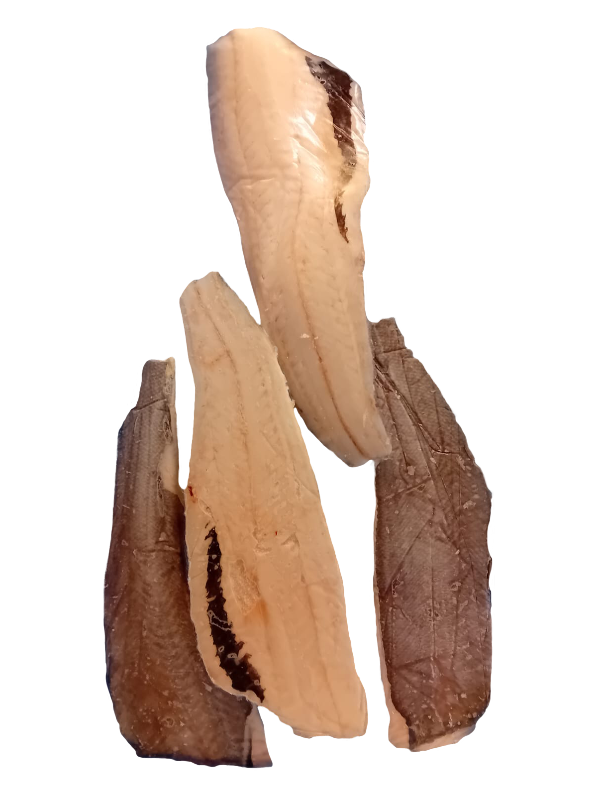 Koral Miruna Nowozelandzka Filet Ze Skórą 6,8 Kg