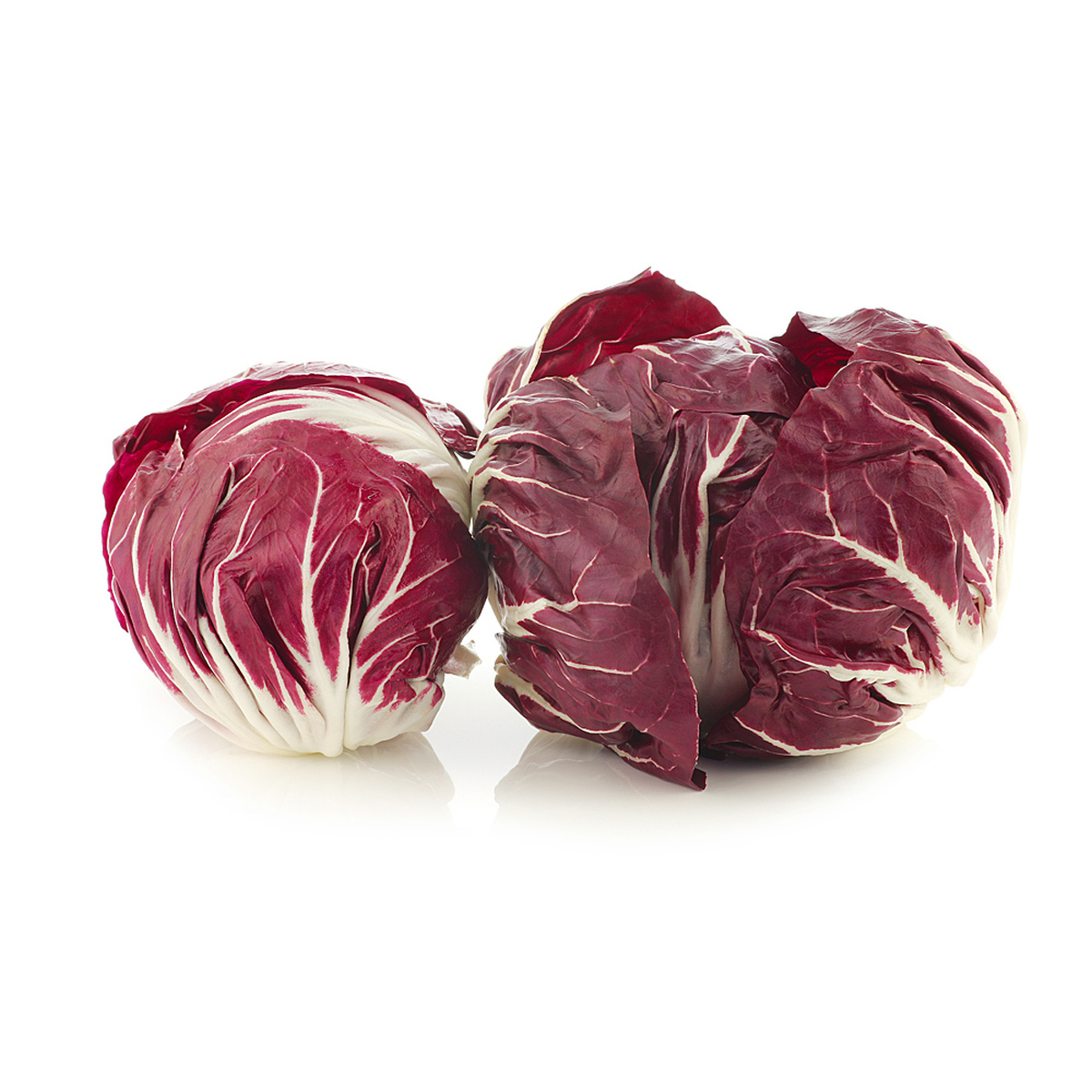 Cykoria Radicchio (9) Włochy 1Szt