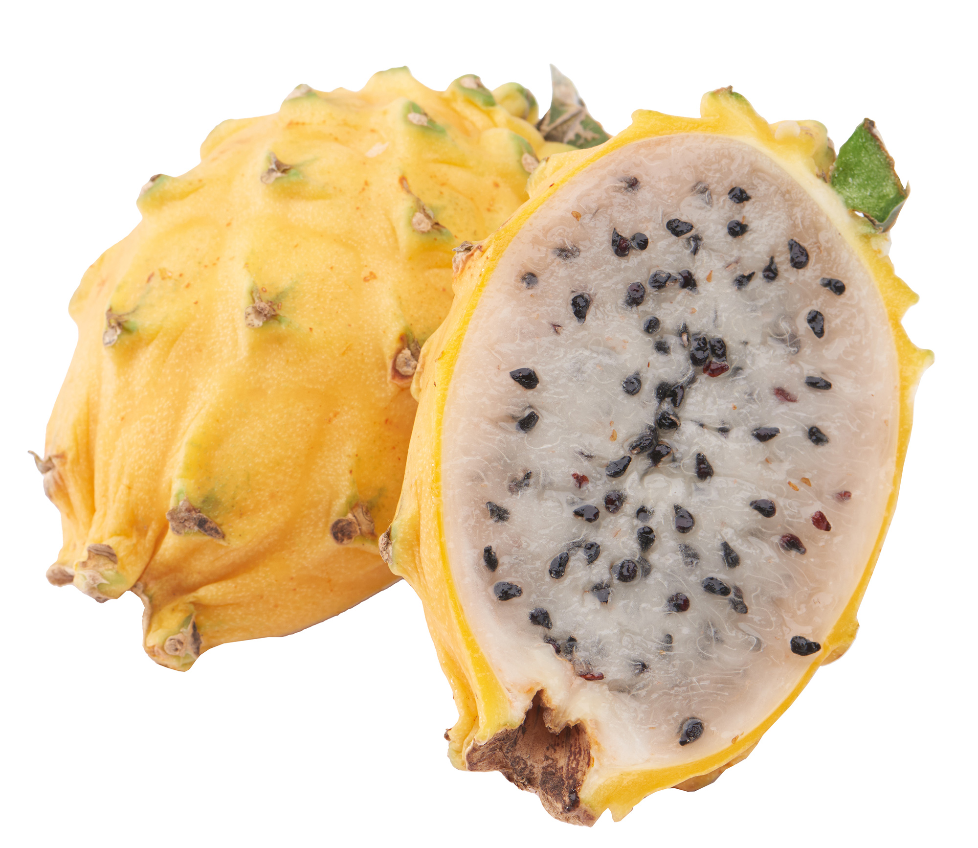Pitahaya Żółta Ekwador 1Szt