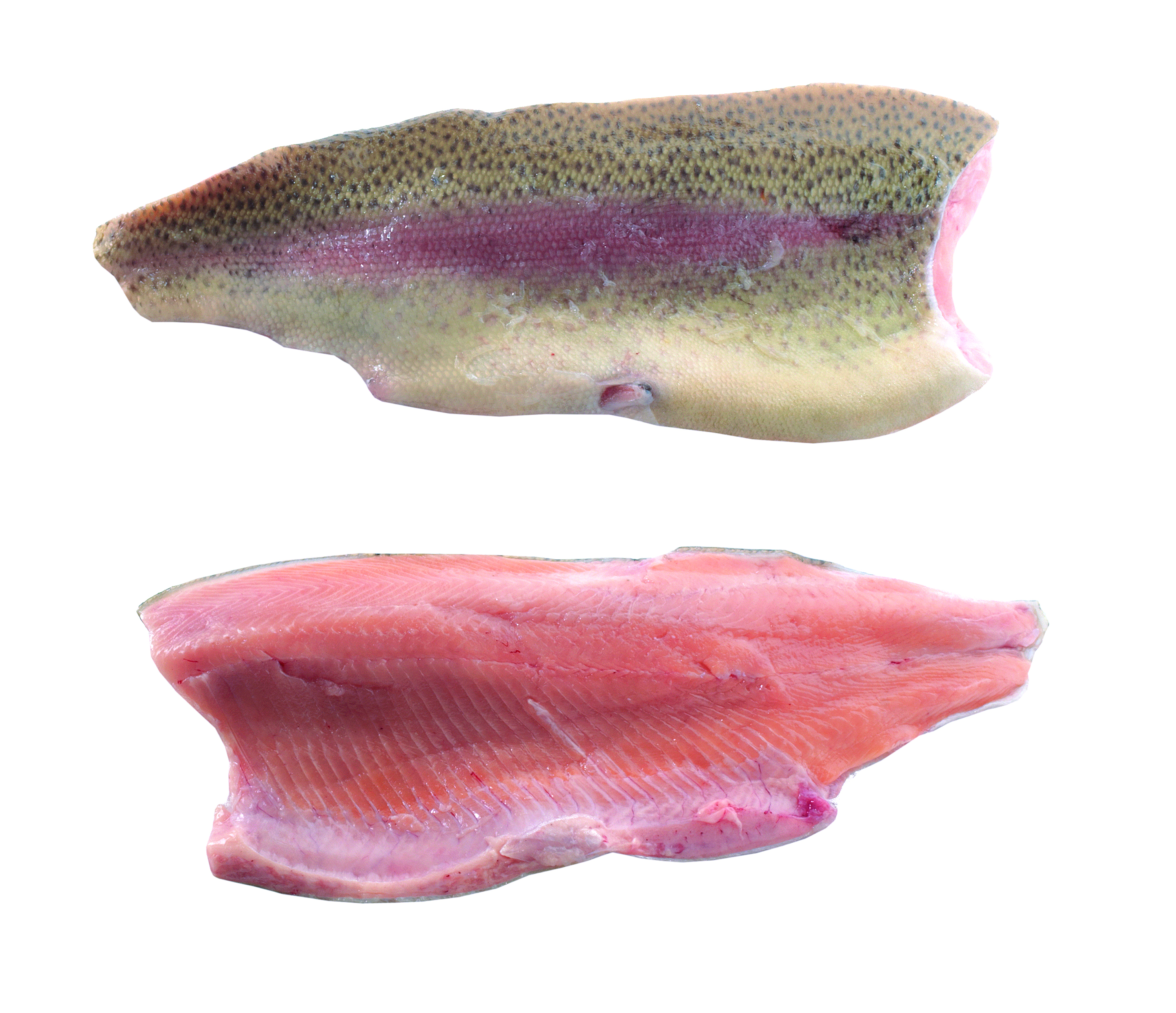 Pstrąg Tęczowy Filet Ze Skórą Ok. 300-400G