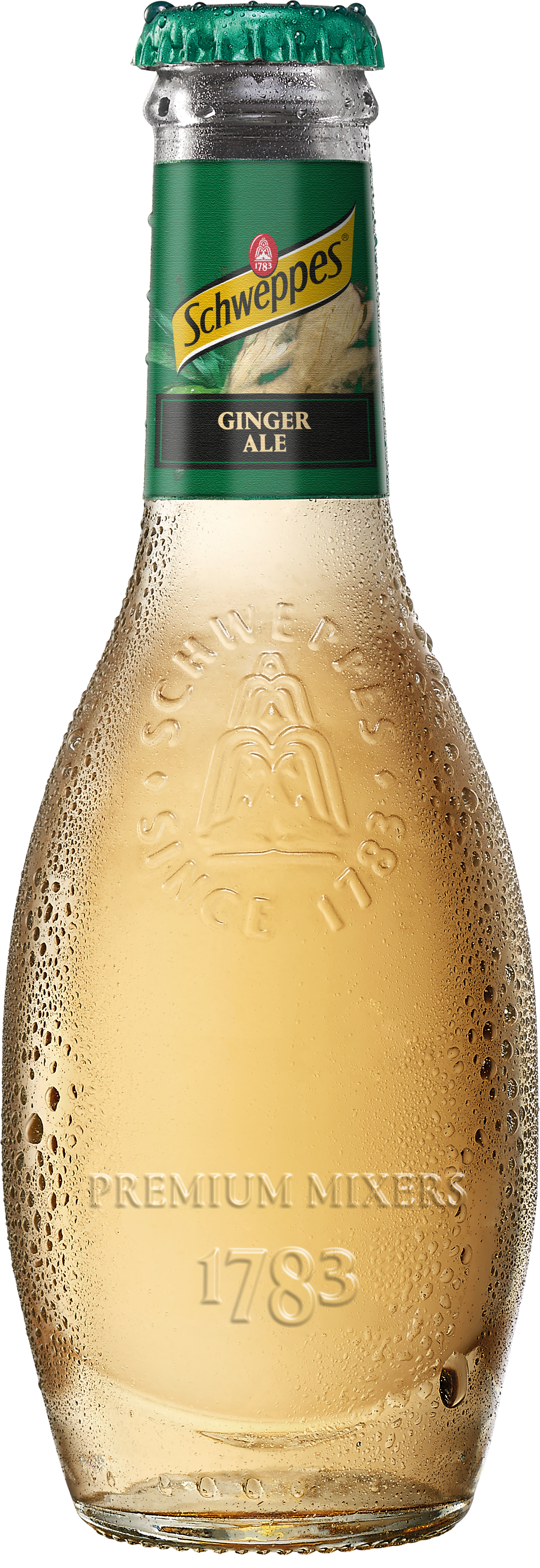 Schweppes Selection Mixer Ginger Ale 200Ml