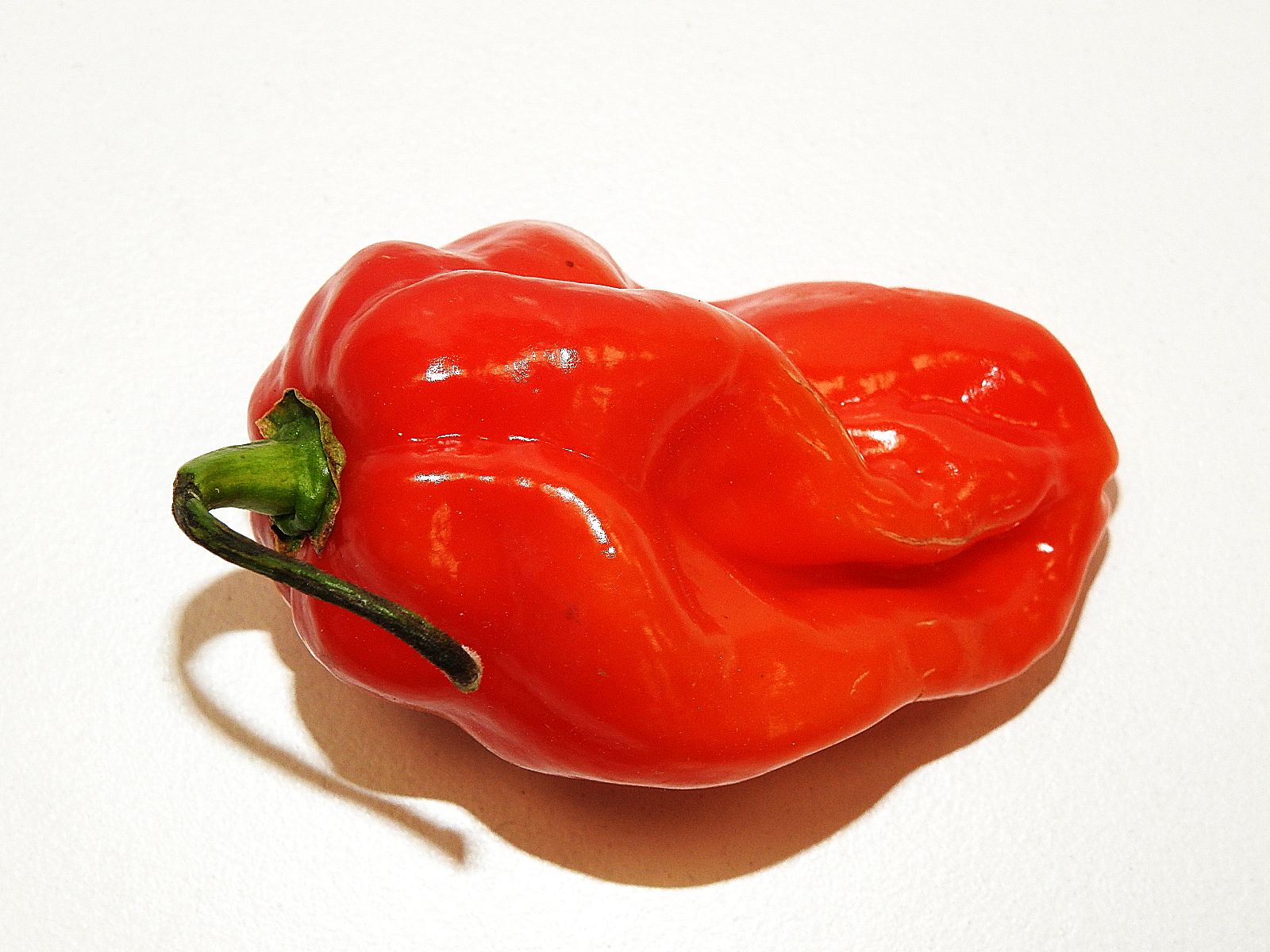Papryka Ostra Carolina Reaper Holandia 50G