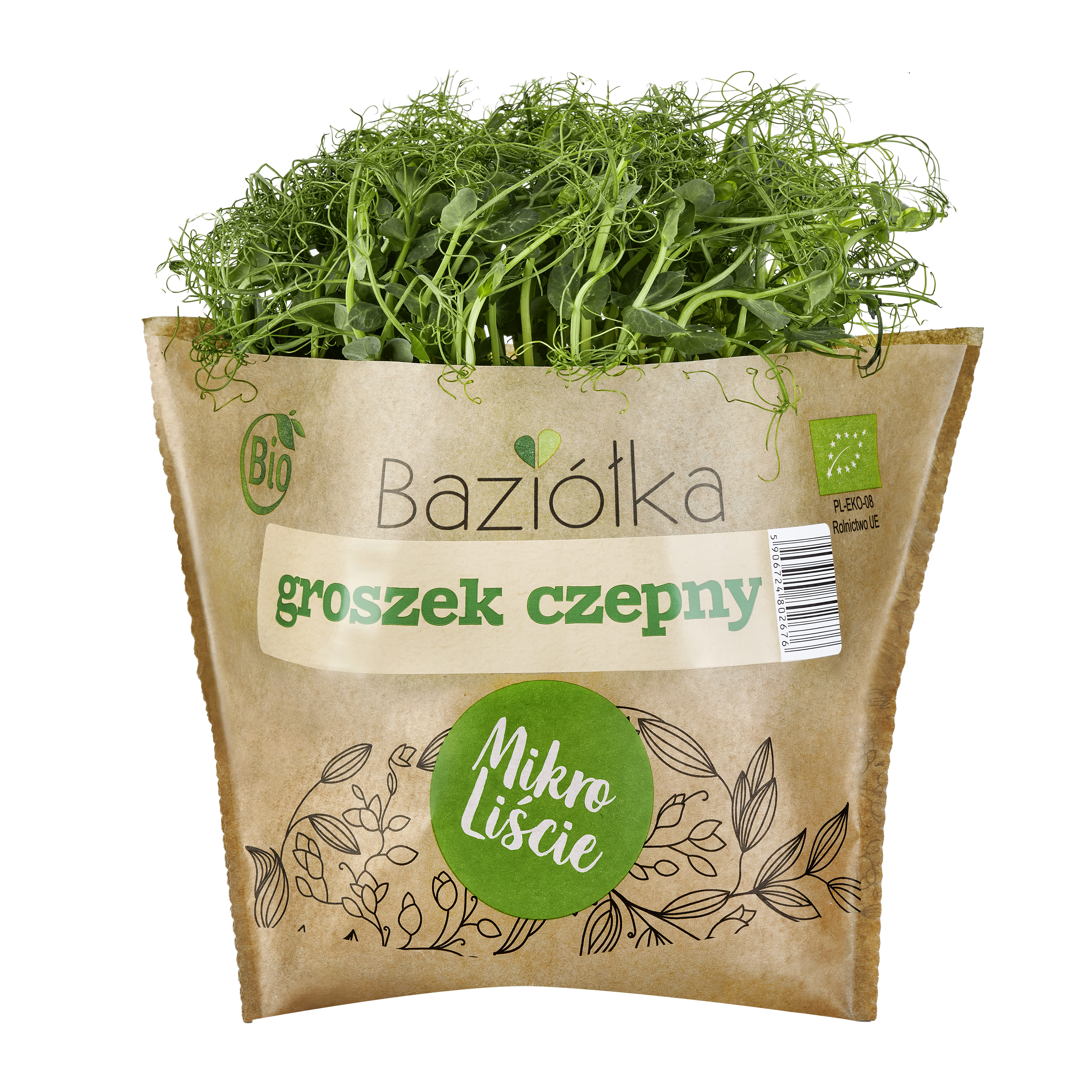 Bio Groszek Czepny Mikroliście Polska 1Szt Baziółka