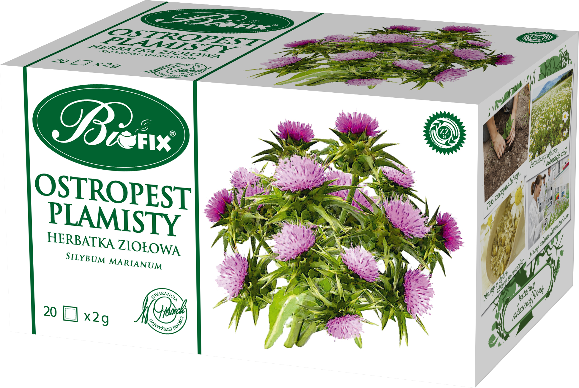 Bifix Ostropest Herbatka Ziołowa Ekspresowa 20X2G