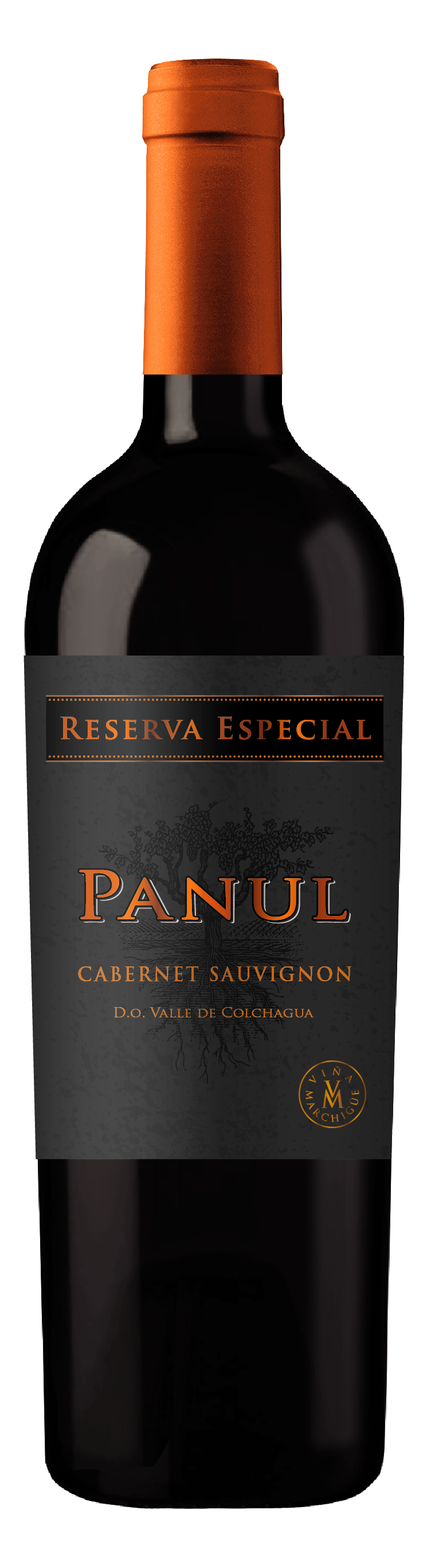Panul Reserva Especial Cabernet Sauvignon Czerwone Wytrawne 750 Ml