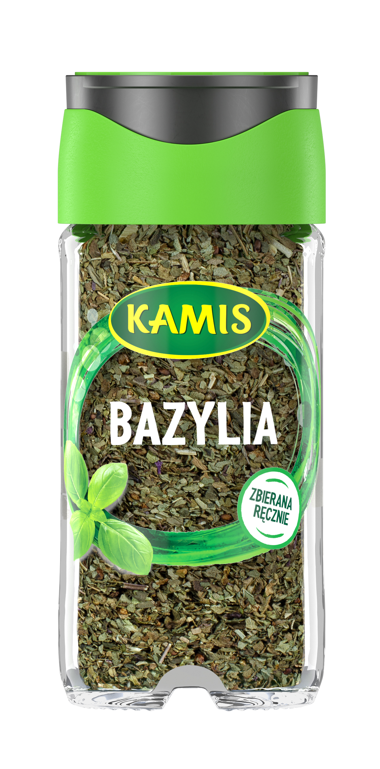 Kamis Bazylia 12G