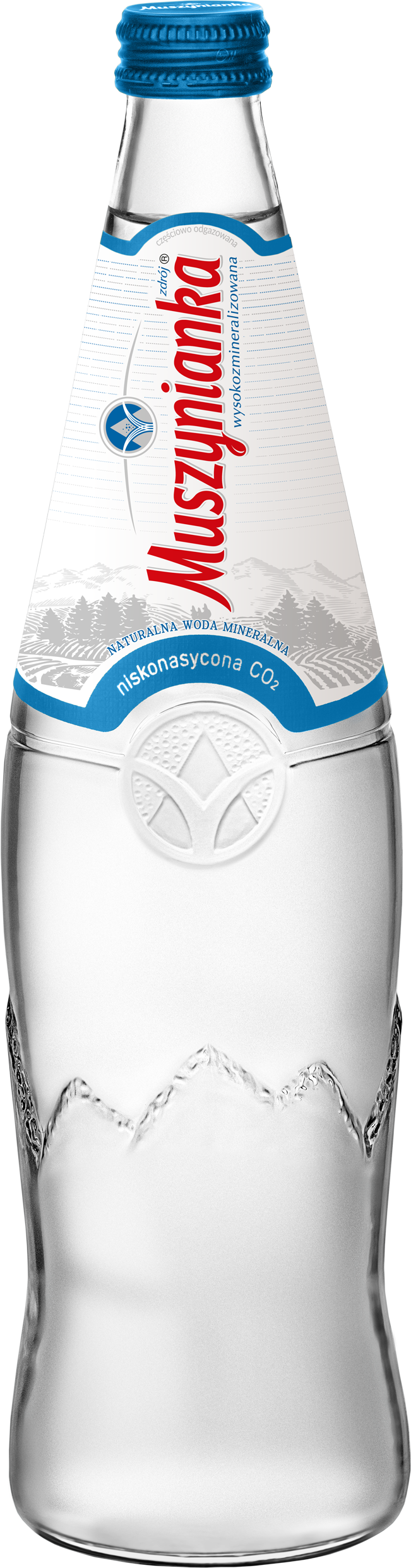 Muszynianka Naturalna Woda Mineralna Wysokozmineralizowana Średnionasycona Co2 0,7L