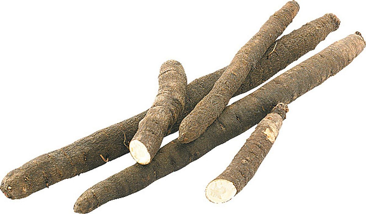 Skorzonera Belgia 1Kg