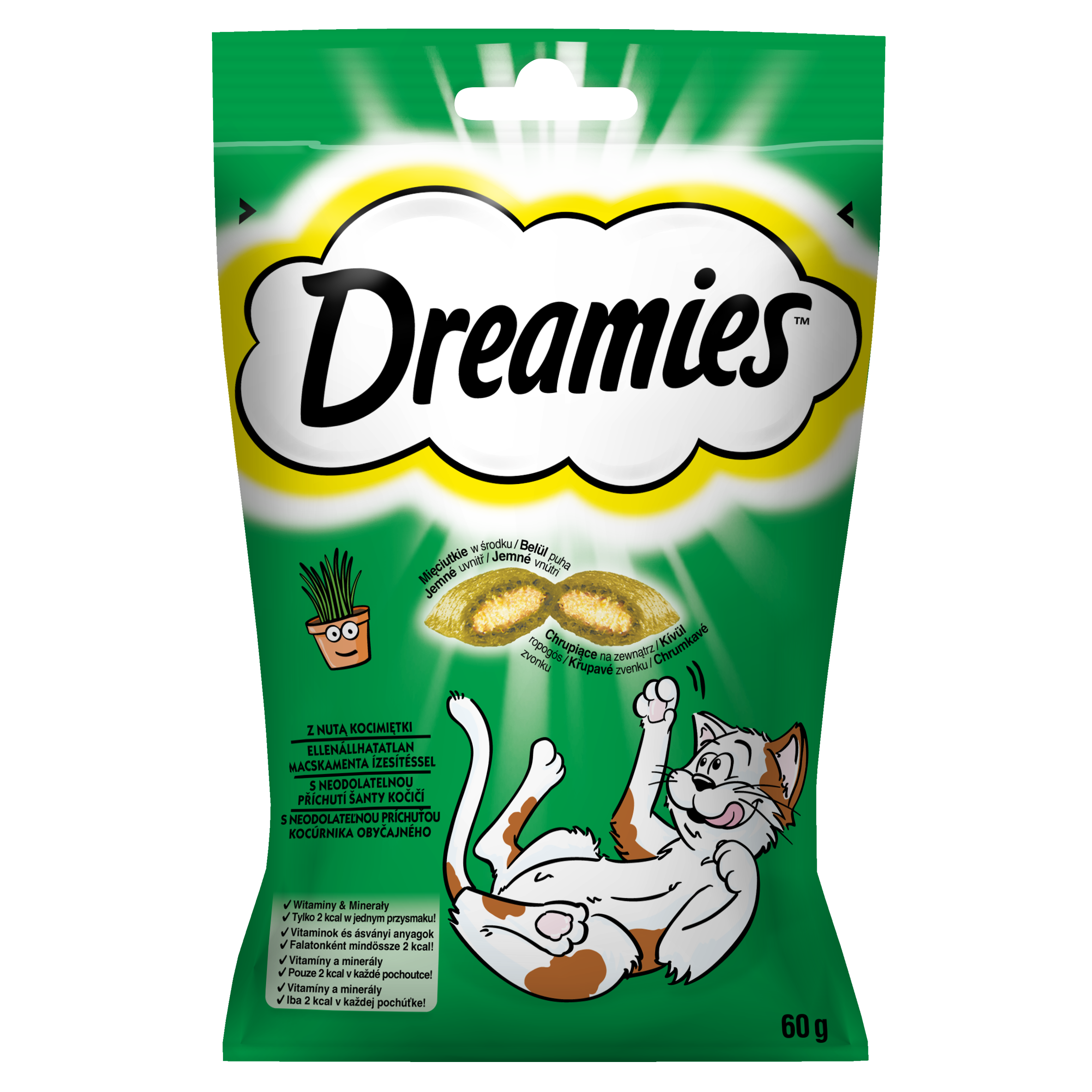 Dreamies Z Nutą Kocimiętki 60 G