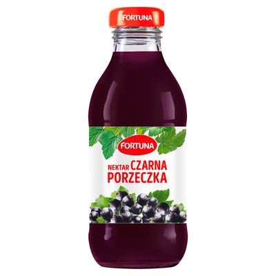 FORTUNA Nektar czarna porzeczka 15 x 300 ml butelka szklana