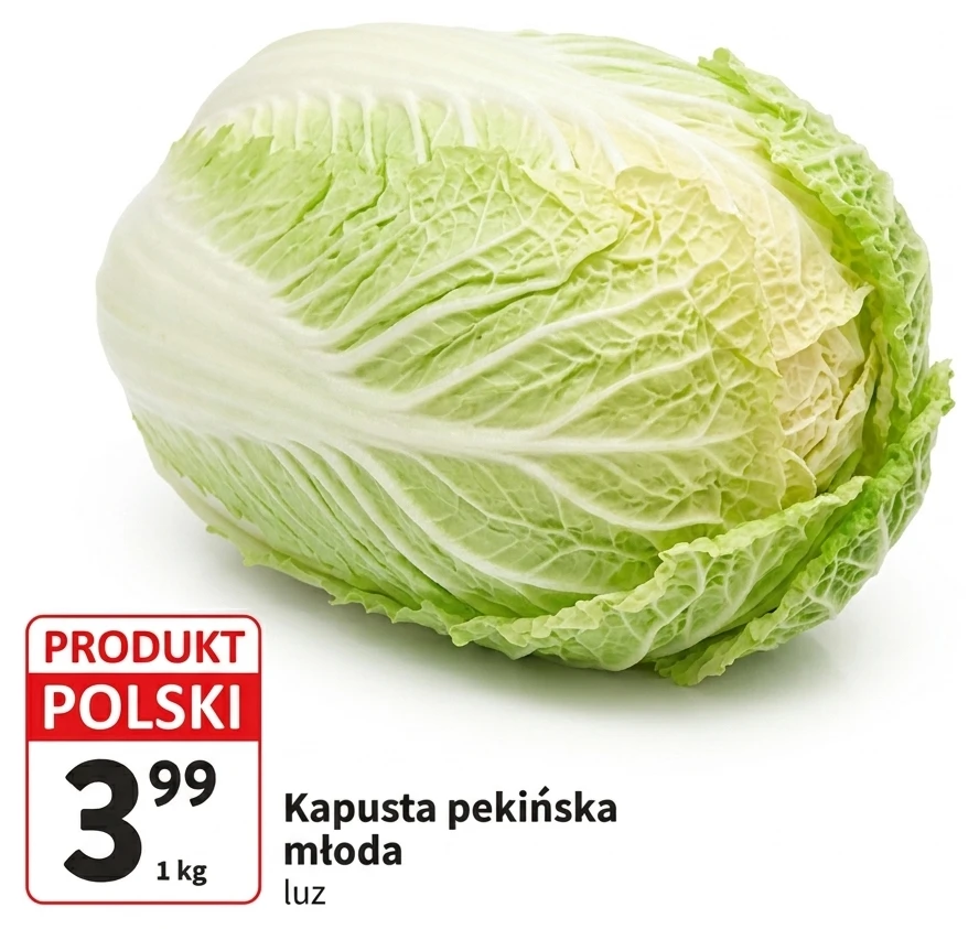 Kapusta pekińska młoda