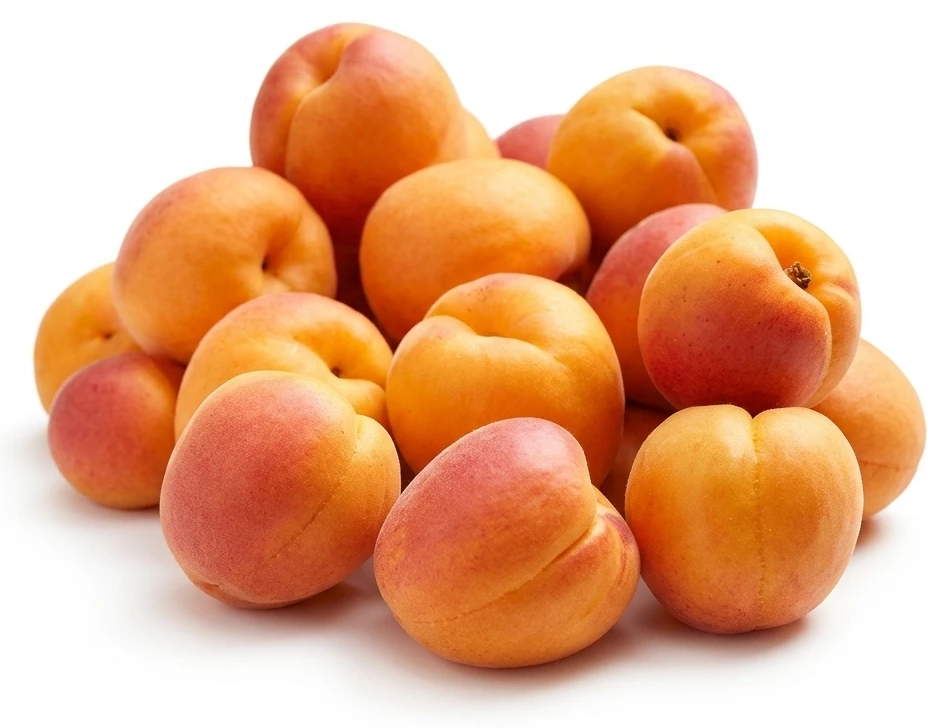 Morele, luzem