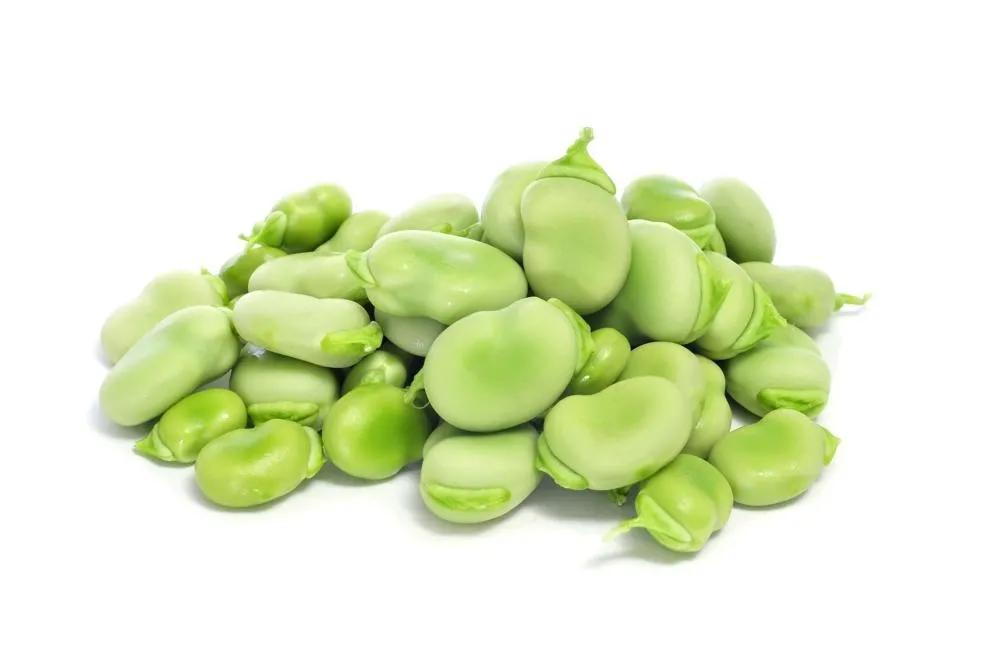 Bób torebka 1 kg