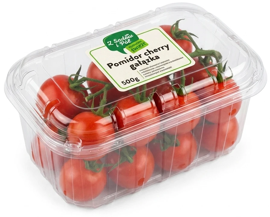 Pomidor cherry gałązka