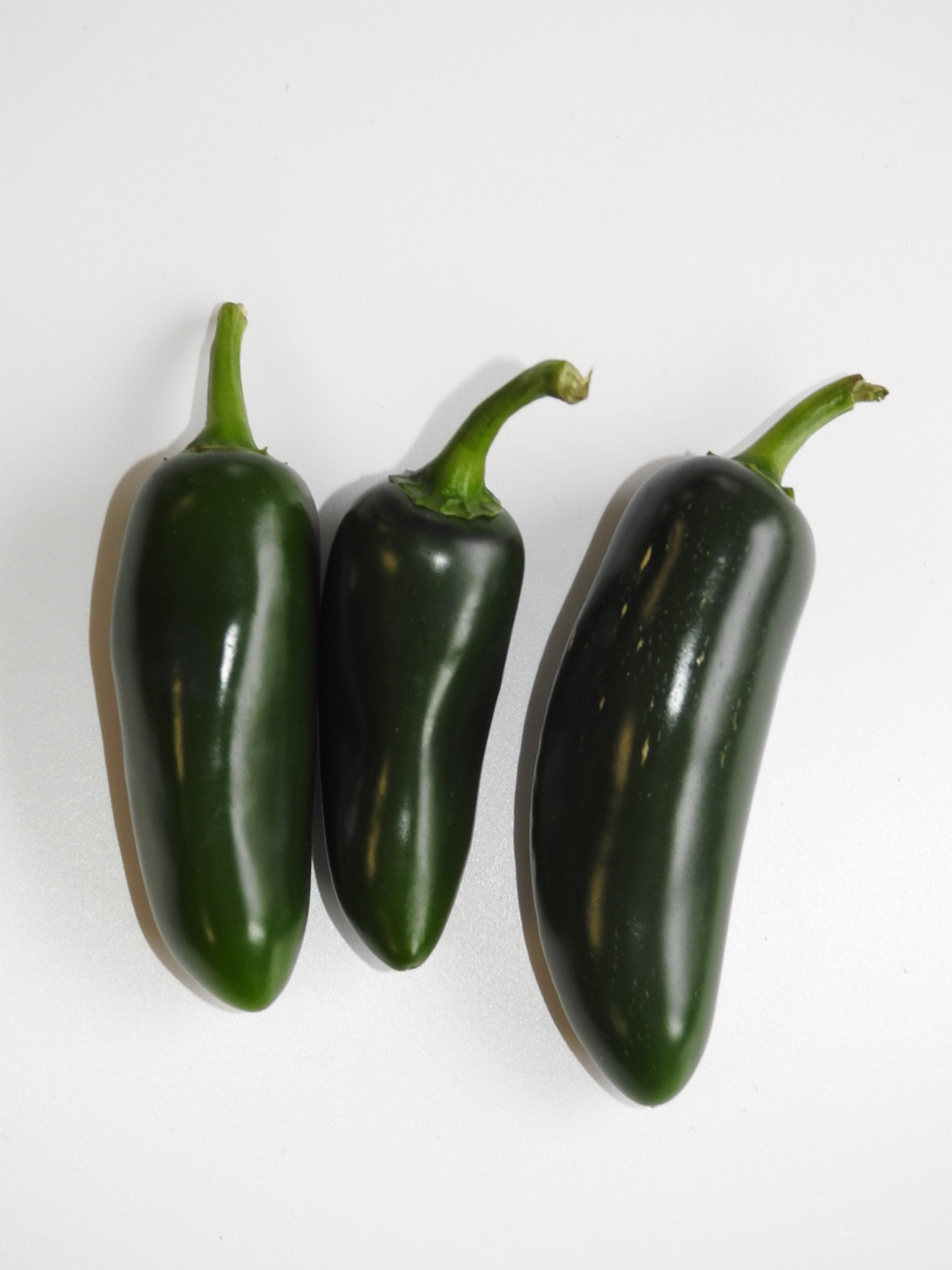 Papryka Ostra Jalapeno Holandia 80G