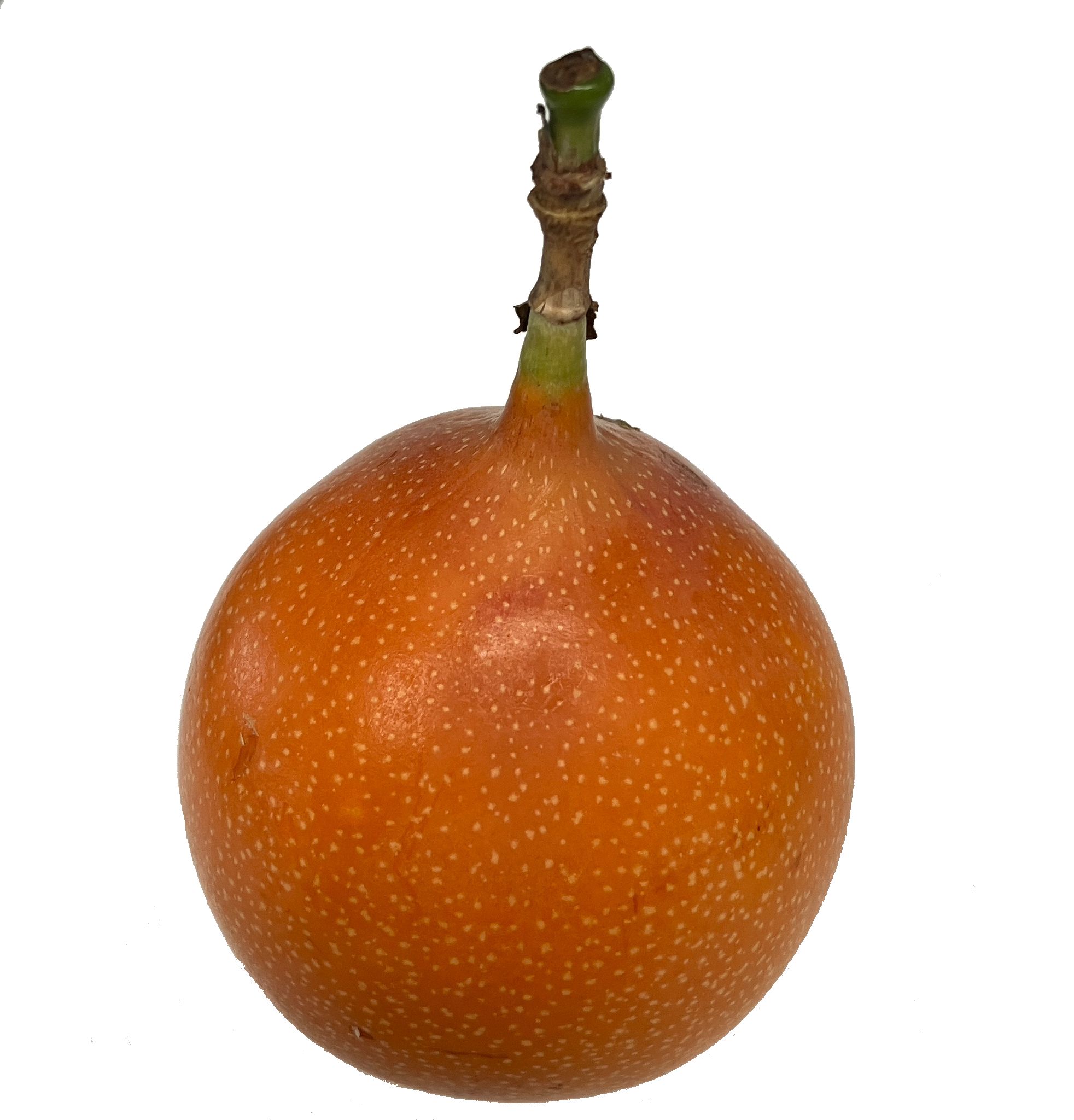 Granadilla Kolumbia 1Szt