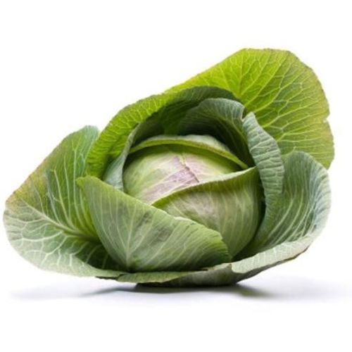 Kapusta biała BIO