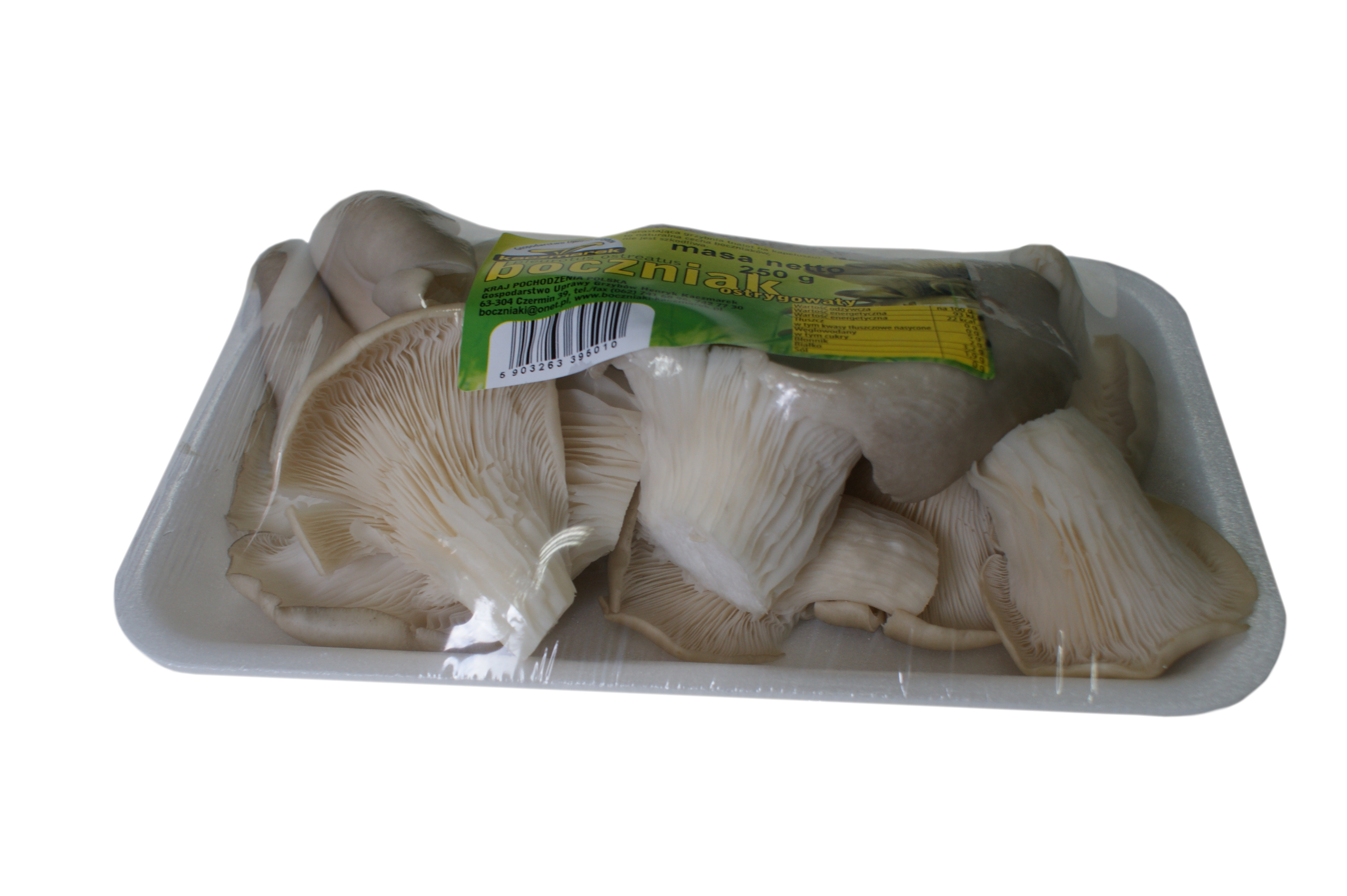 Boczniak Polska 250G