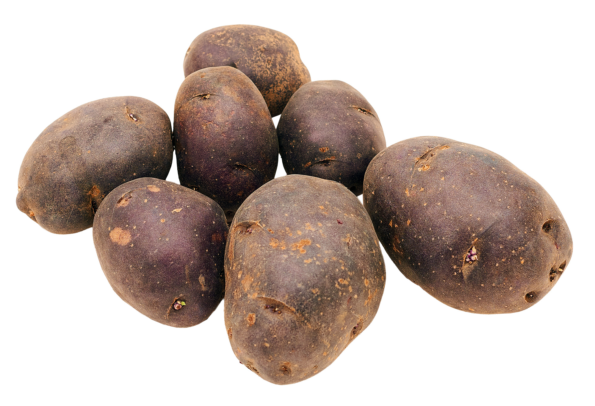 Ziemniak Jadalny Fioletowy Holandia 5Kg