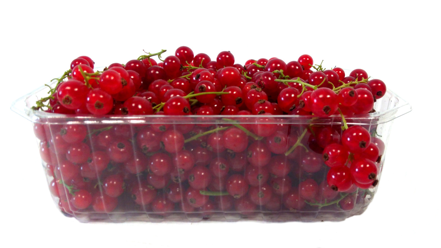 Porzeczka Czerwona Polska 500G