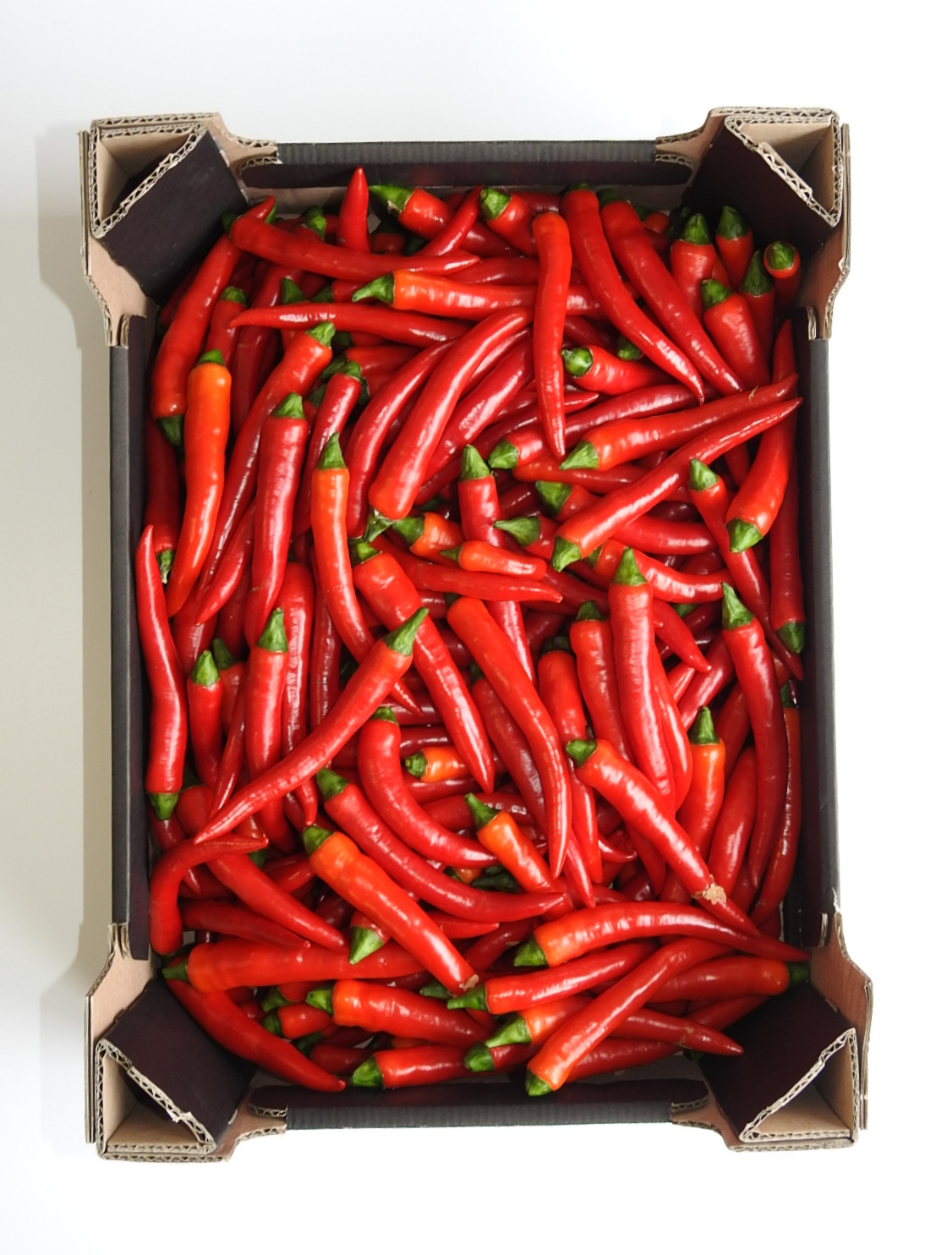 Papryka Peperoni Czerwona Ostra Polska 3Kg