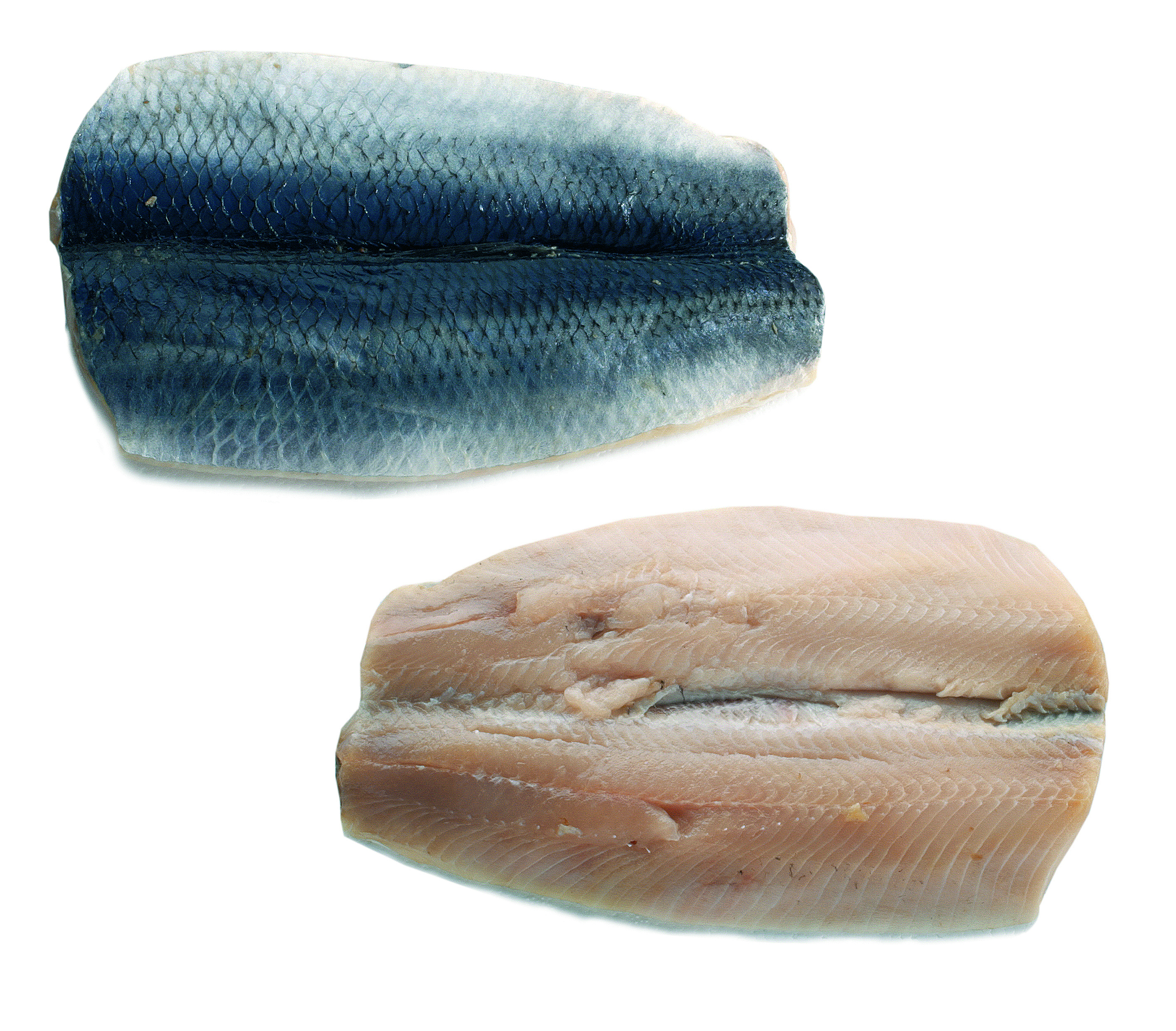Śledź Płat Ok. 100-200G