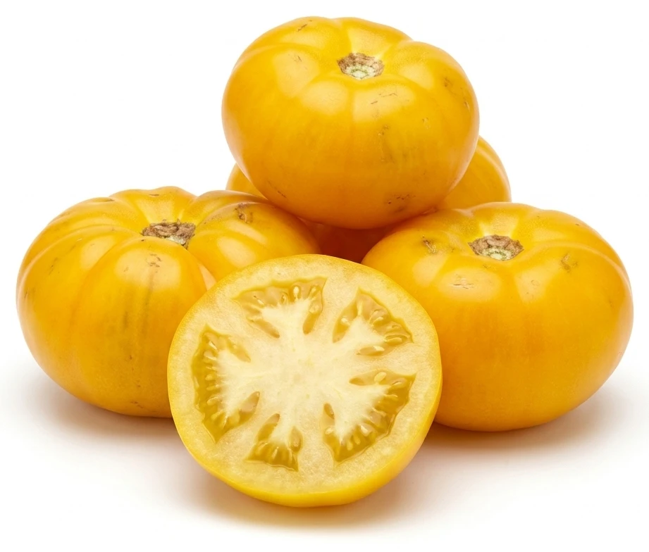 Pomidor żółty