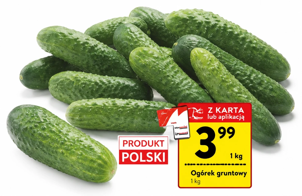 Ogórek gruntowy