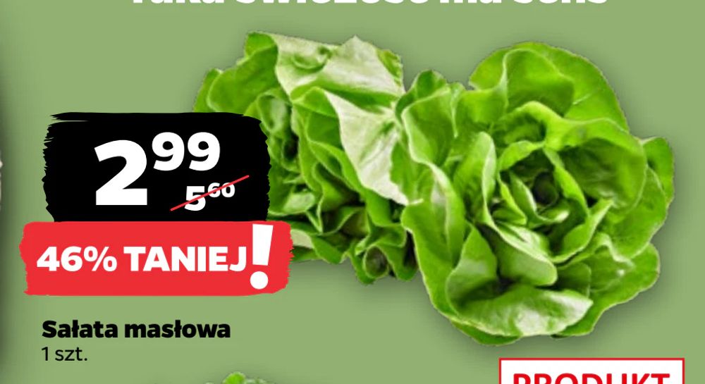 Sałata masłowa