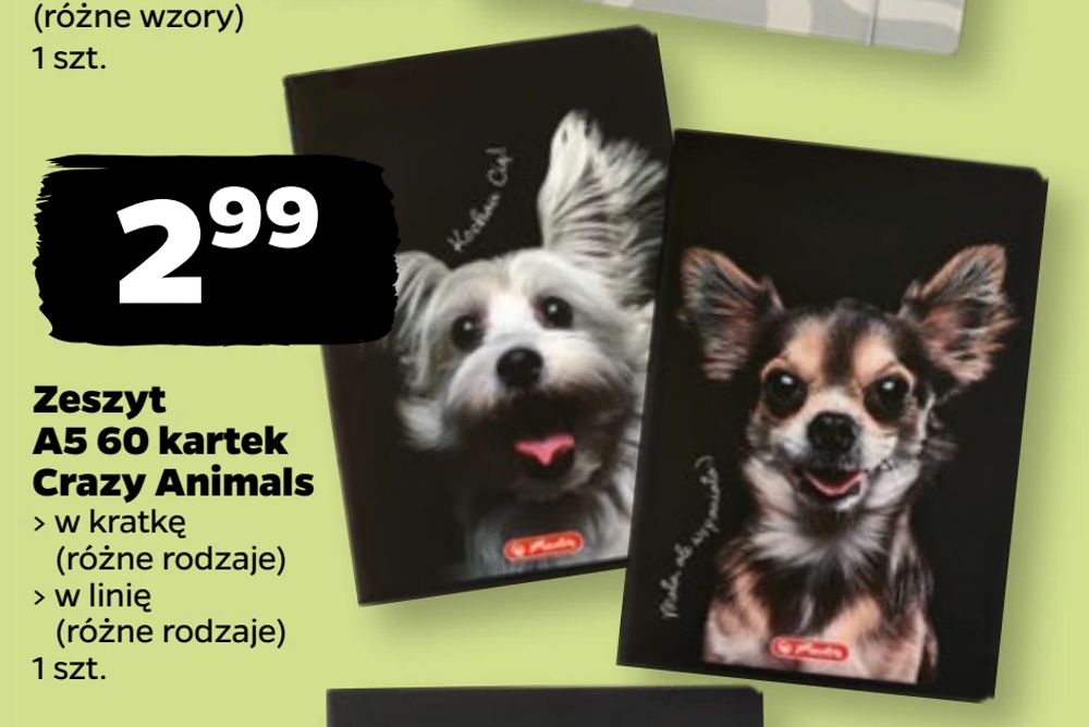 Zeszyt A5 60 kartek Crazy Animals