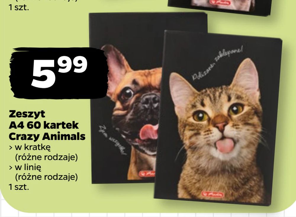 Zeszyt A4 60 kartek Crazy Animals