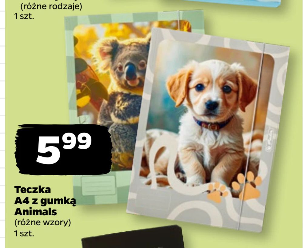 Teczka A4 z gumką Animals
