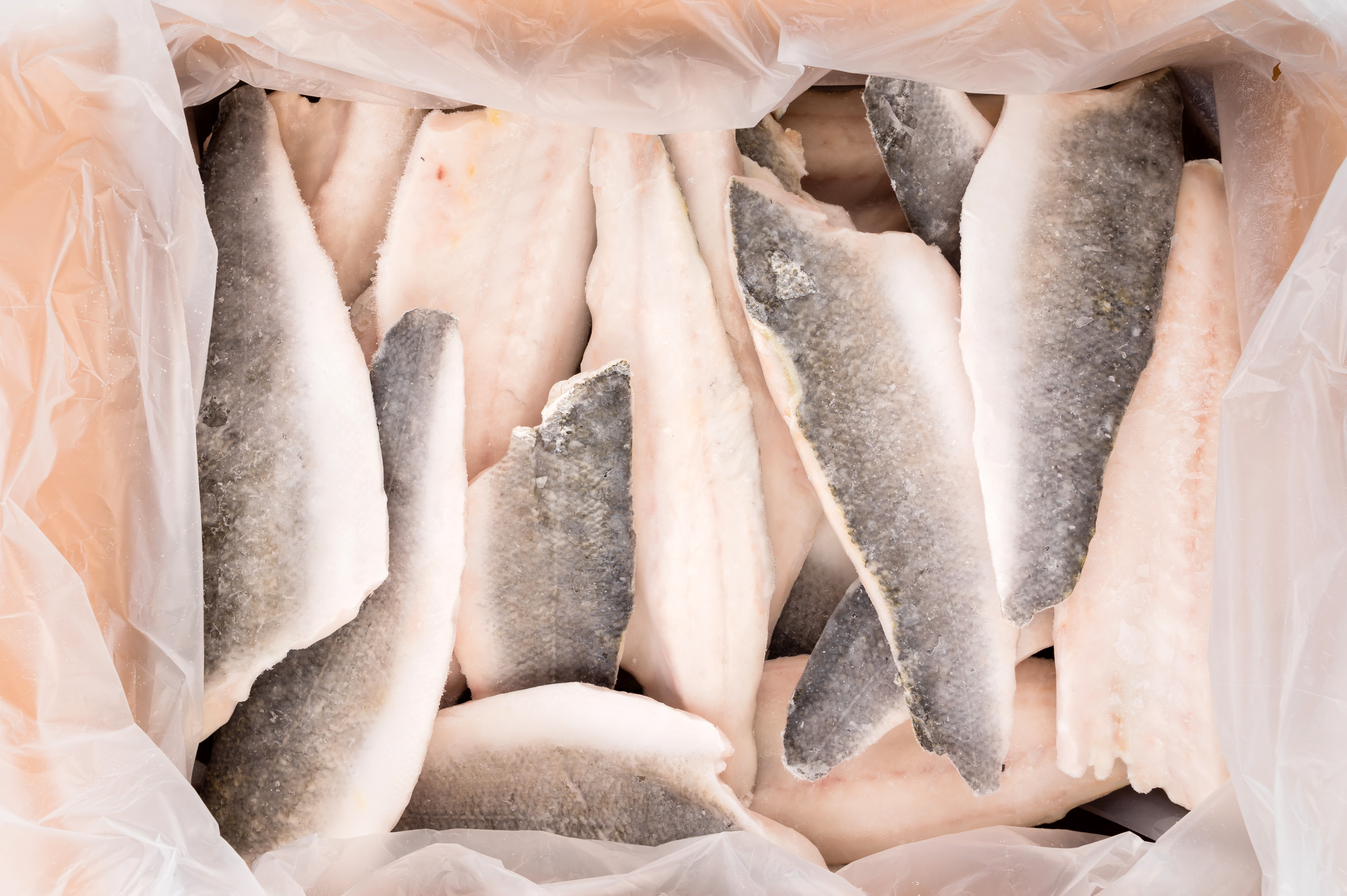 Freezco Morszczuk Kapski Filet Ze Skórą 9 -14 Oz 5Kg Iwp Mrożony