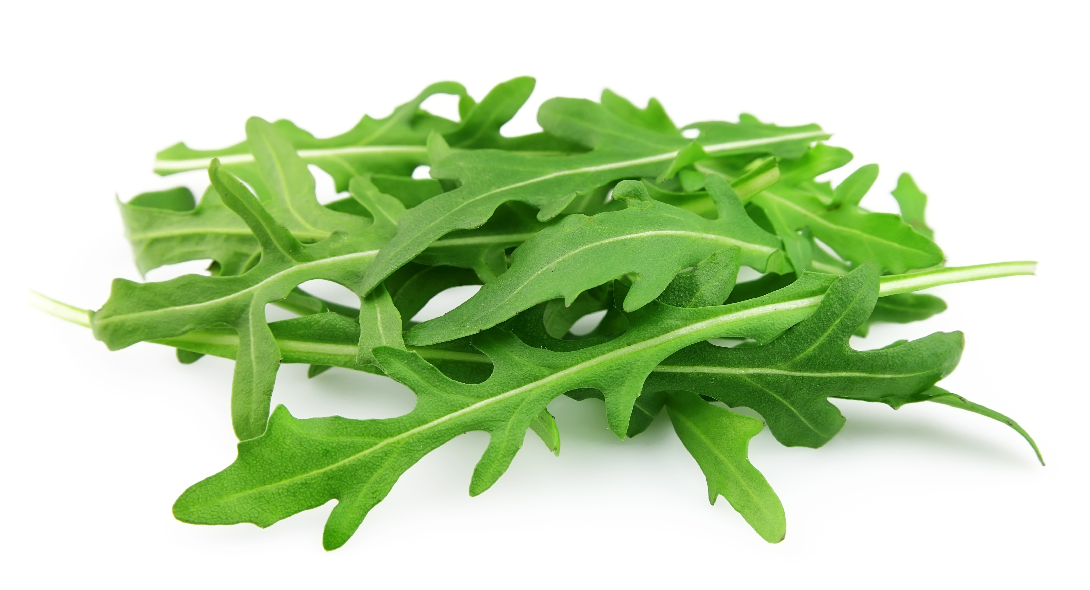 Bio Rukola Włochy 100G