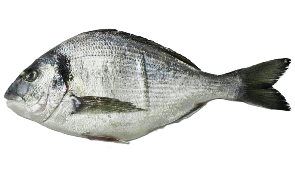 Dorada Patroszona 400-600G