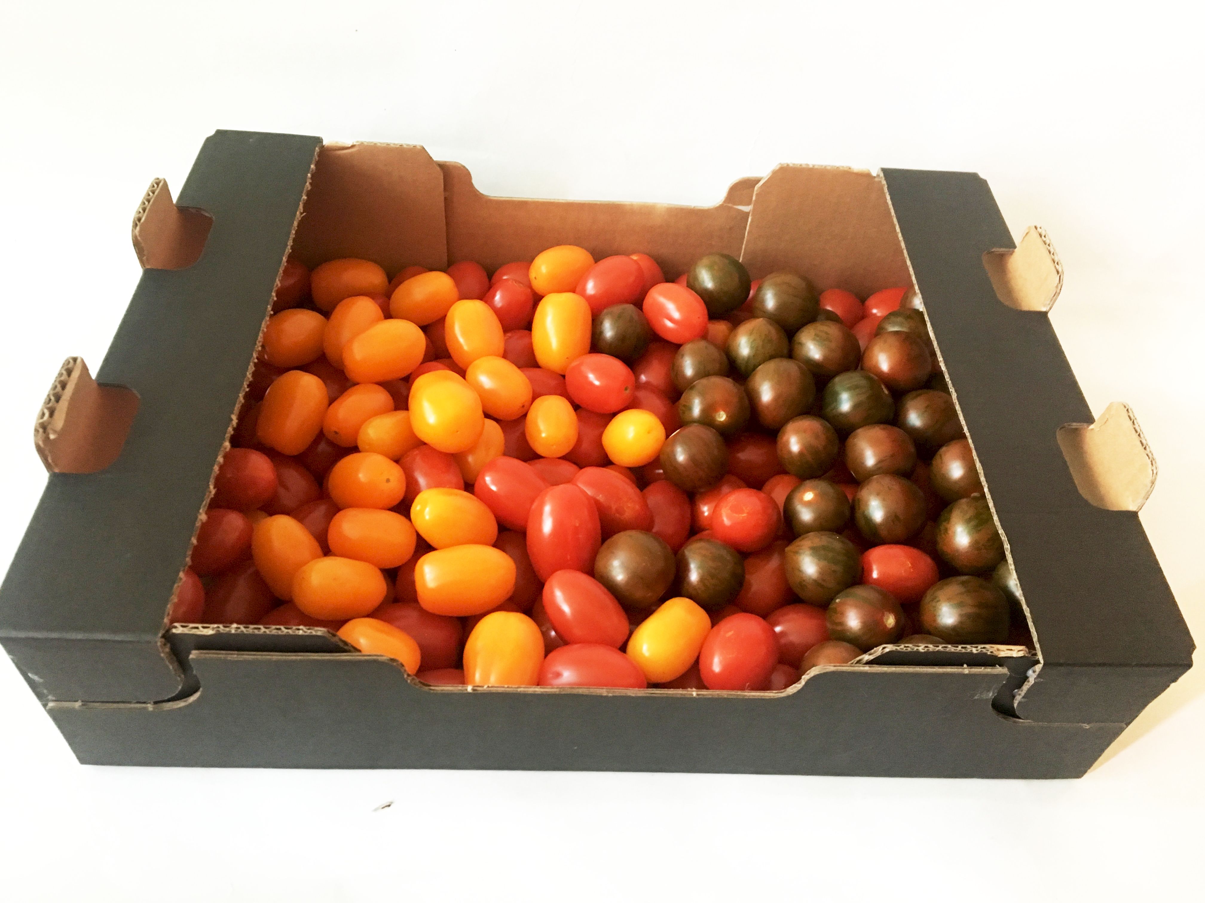 Pomidor Daktylowy Czerwony Klasa I Polska 3Kg