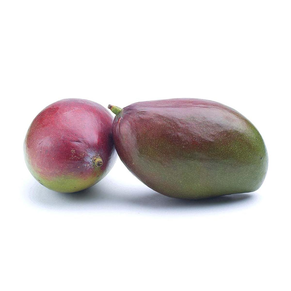 Mango Rte Brazylia 2Szt