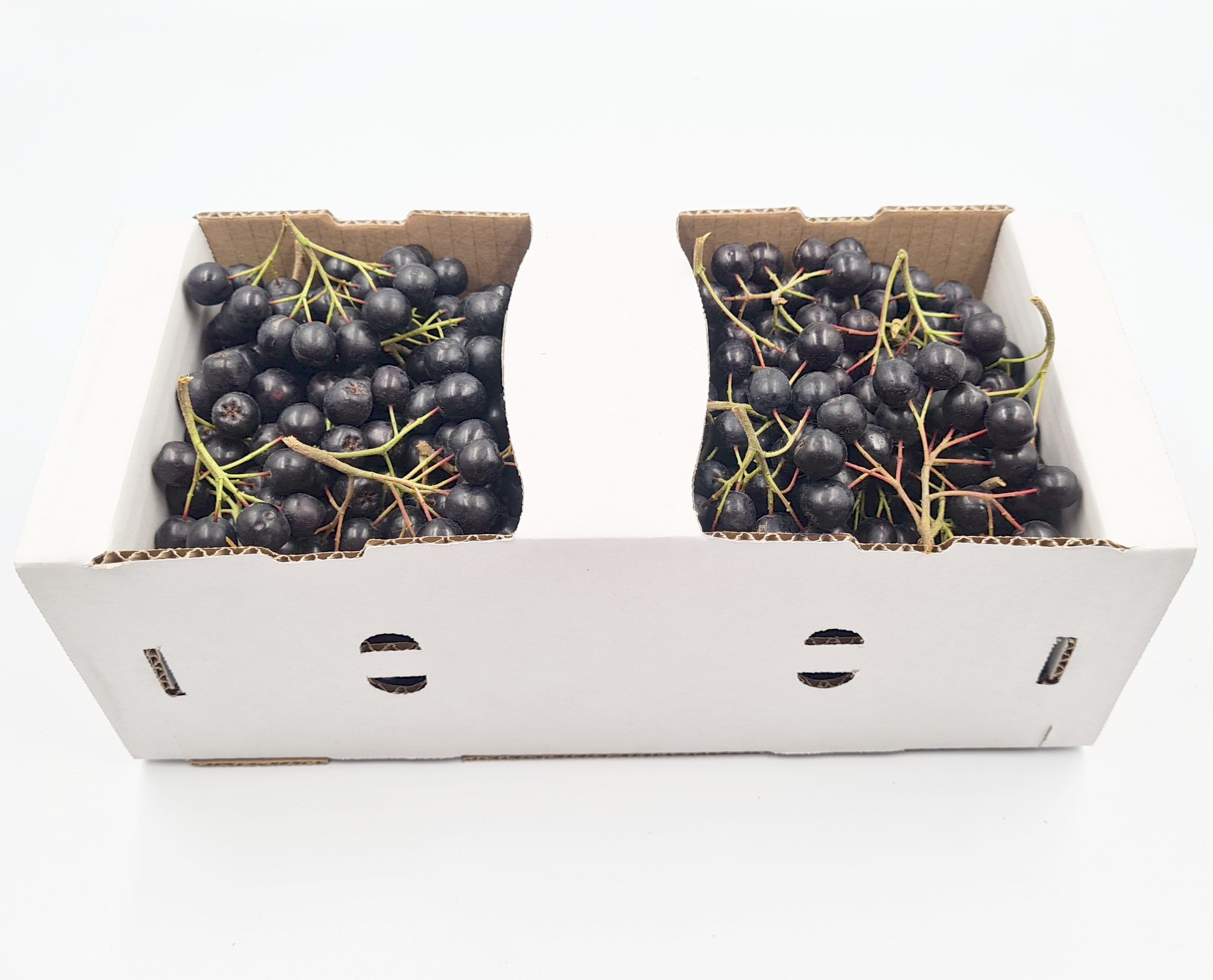 Aronia Polska 1Kg