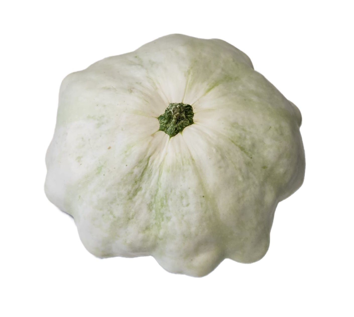 Patison Biały Polska 5Kg