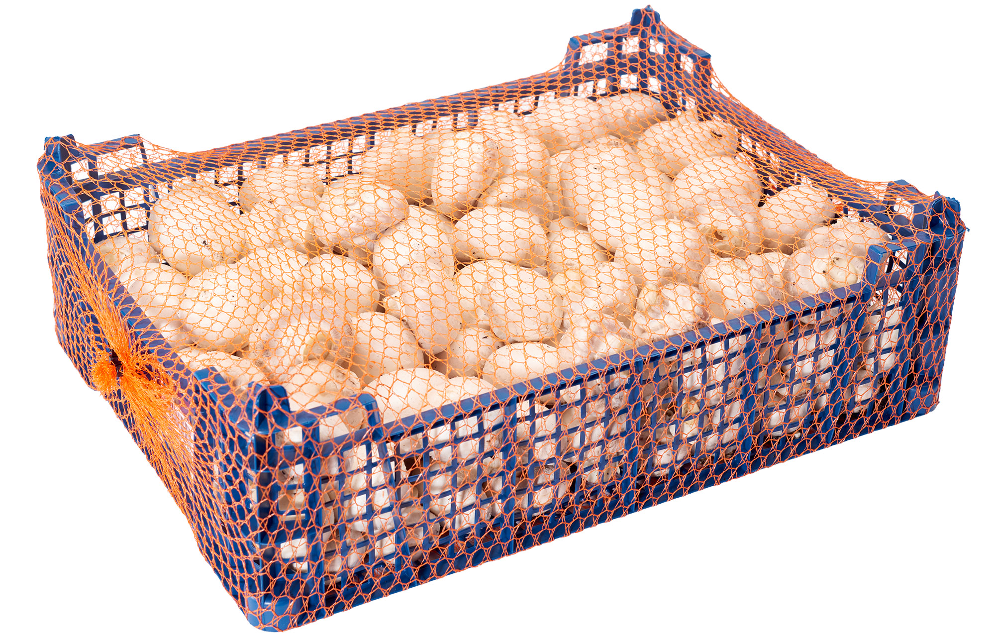 Pieczarka Gastronomiczna Polska 3Kg