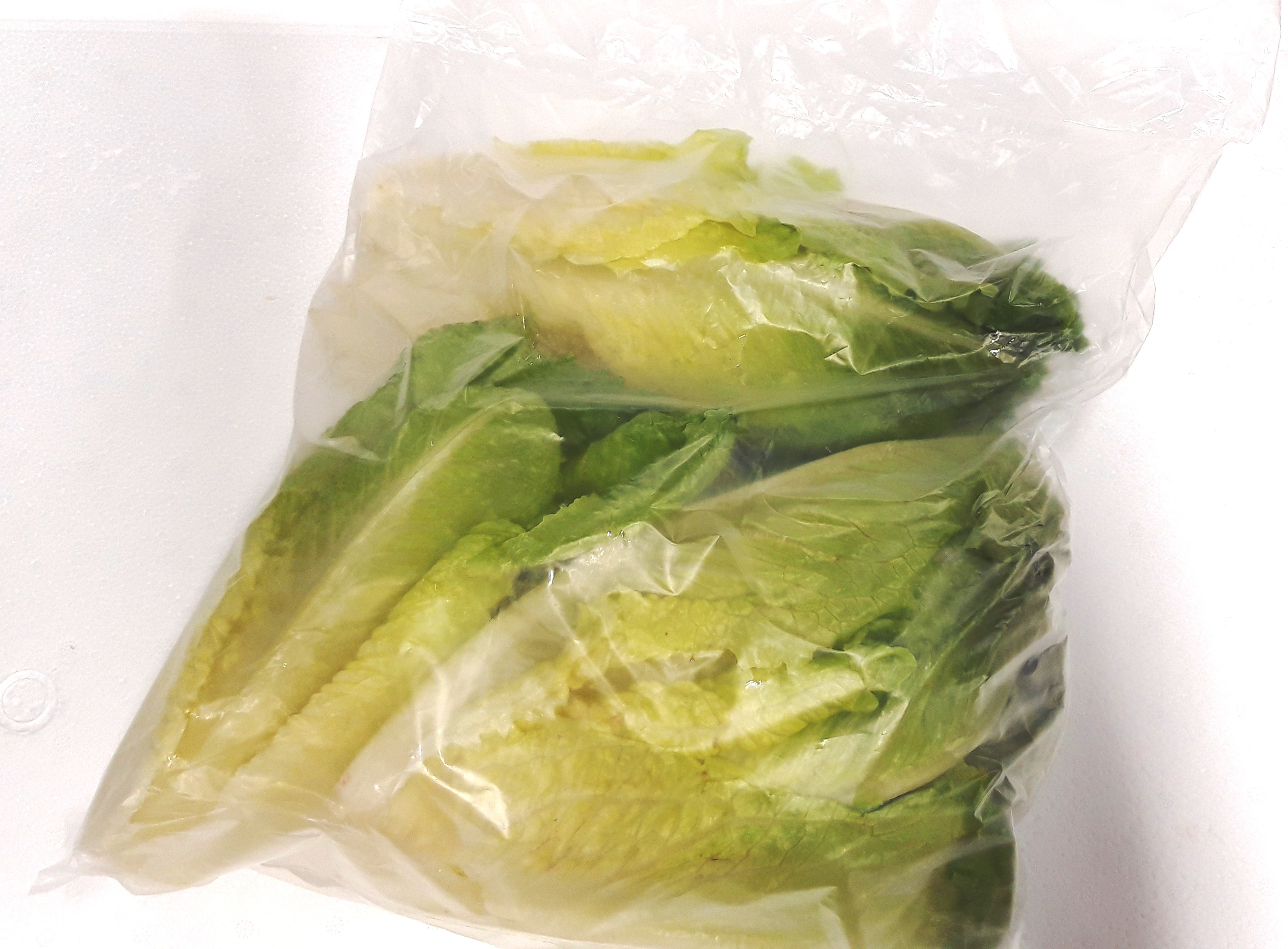 Sałata Rzymska Myta Klasa I Unia Europejska 1Kg