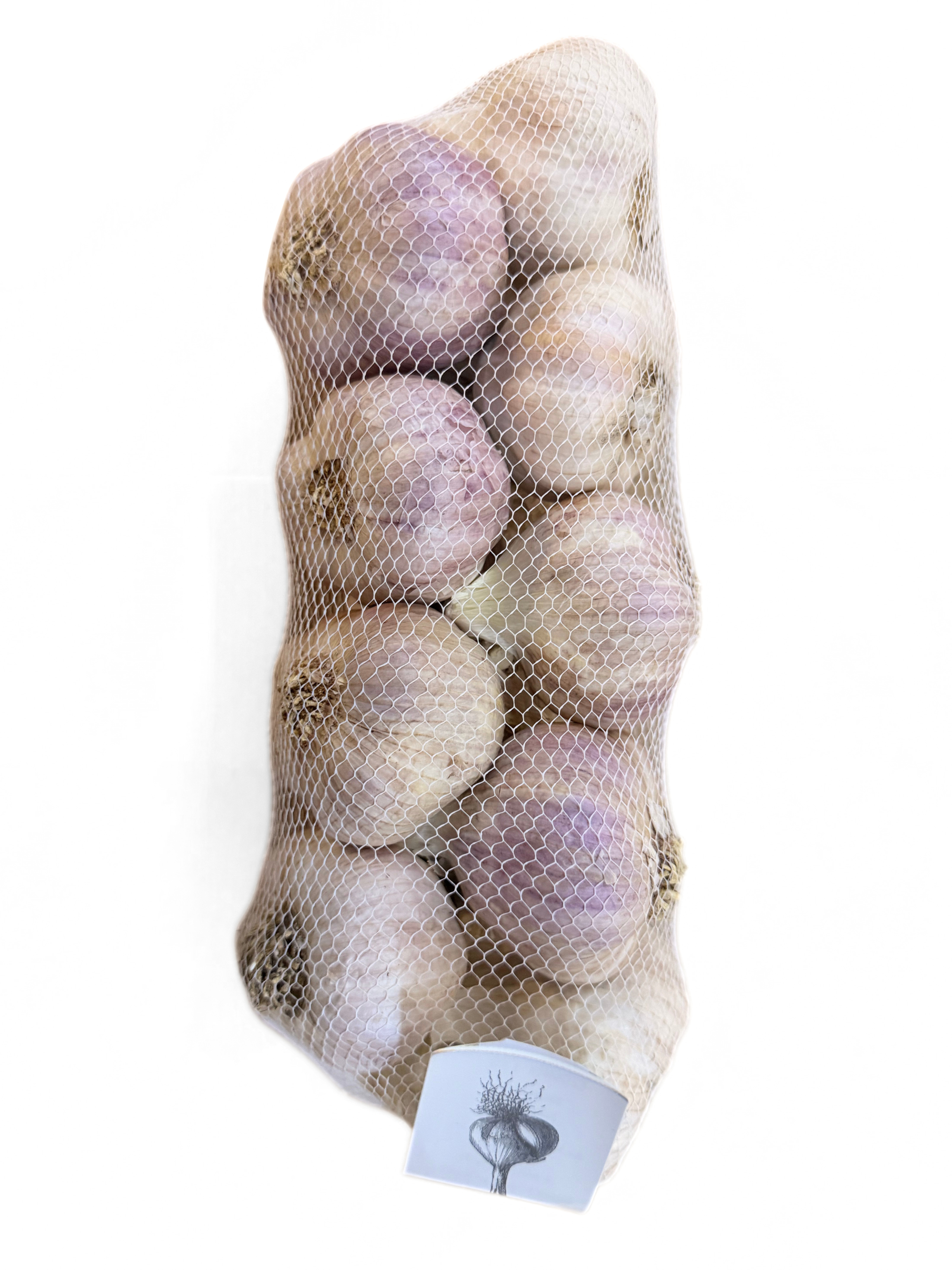 Czosnek Egipt 1Kg