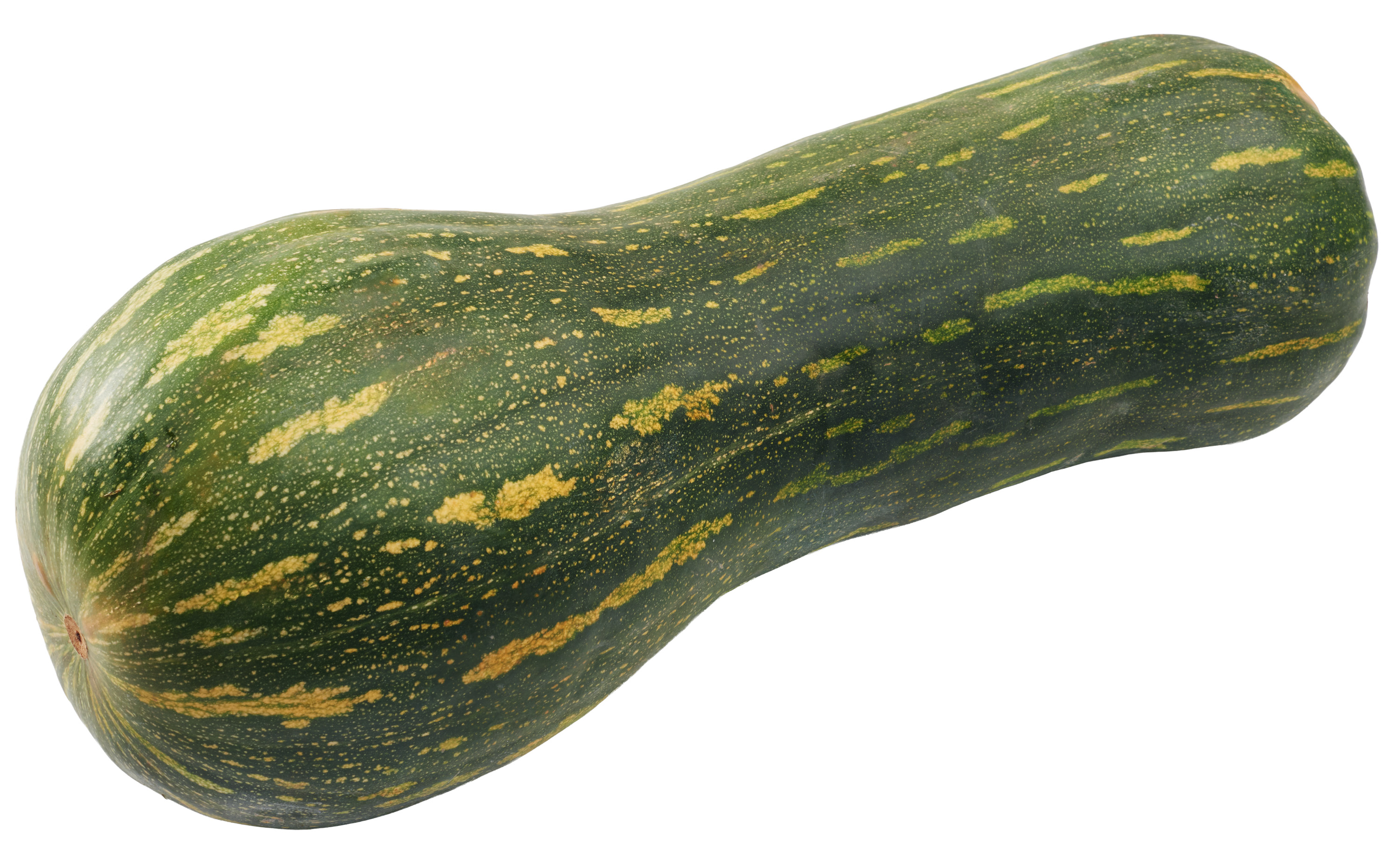 Dynia De Lunga Polska 16Kg