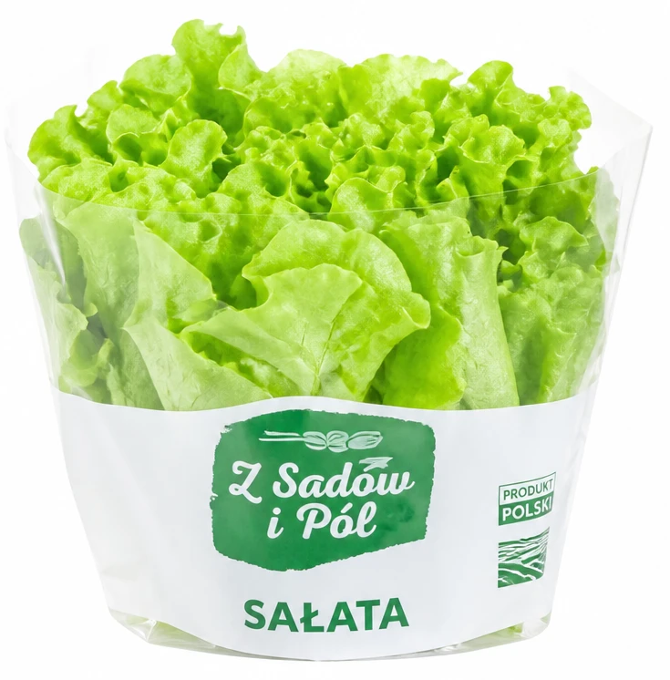 Sałata