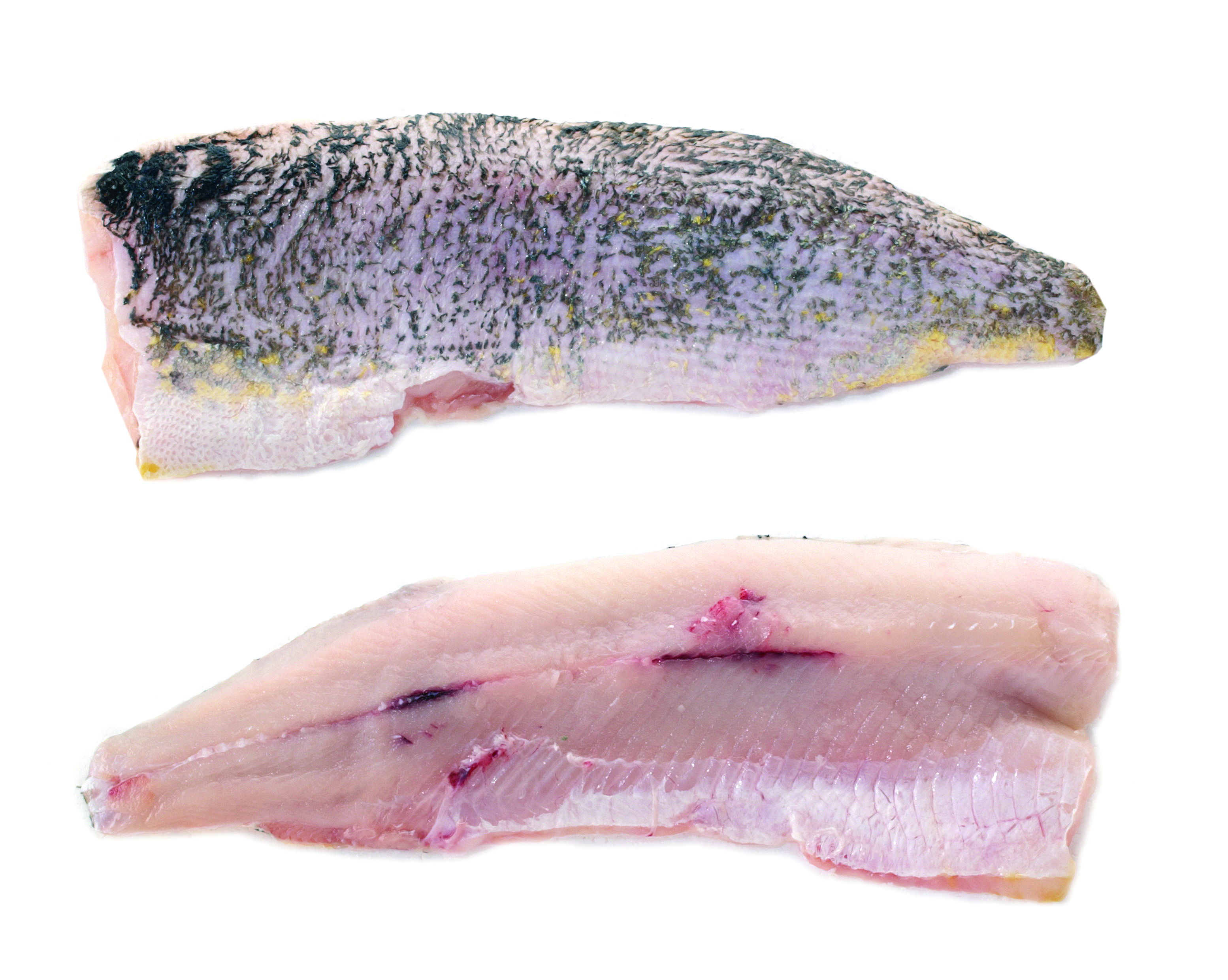 Szczupak Filet Ze Skórą Ok. 300-700G